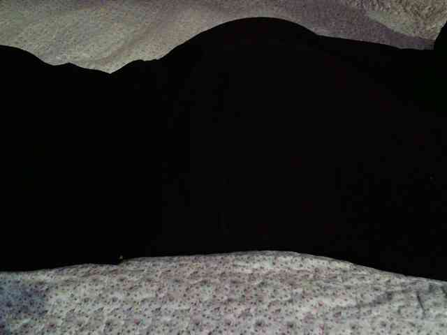 -magicrose- webcam