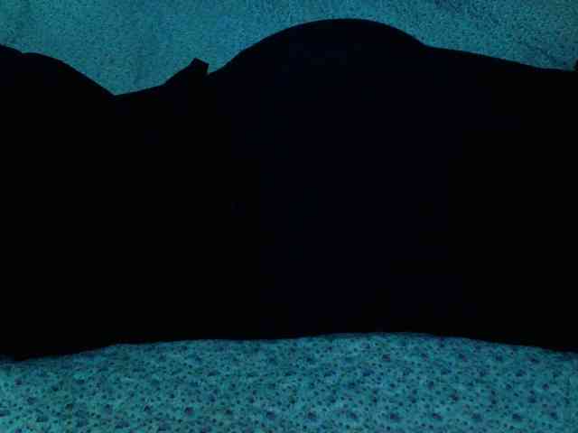 -magicrose- webcam