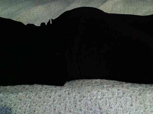 -magicrose- webcam
