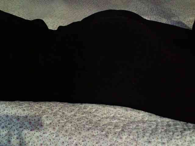 -magicrose- webcam