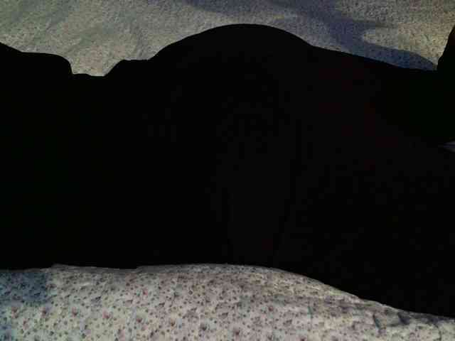 -magicrose- webcam