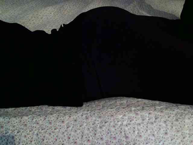 -magicrose- webcam
