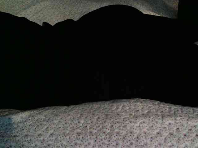 -magicrose- webcam