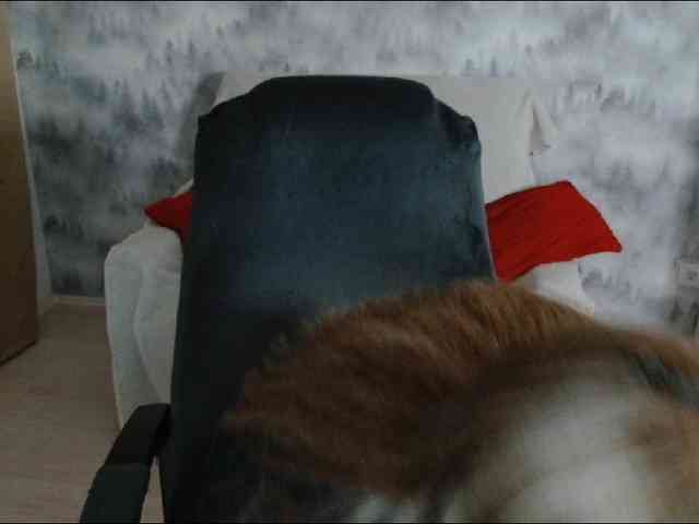 AdelinaLawson Live Webcam on BongaCams