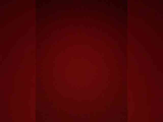 Gerl-007 webcam