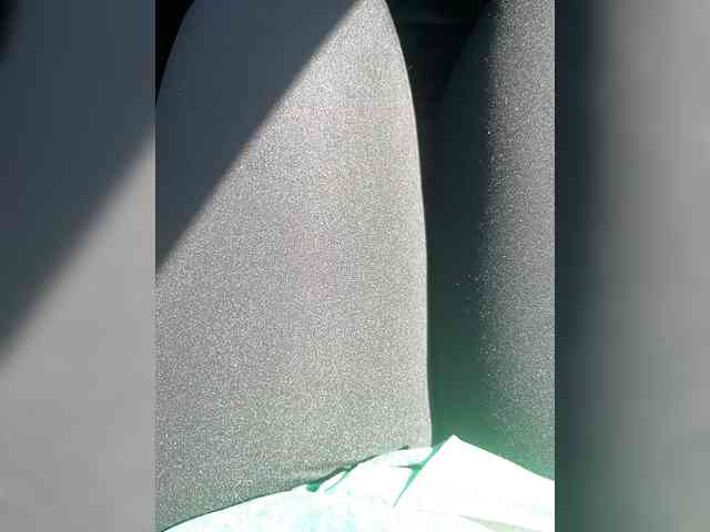 Gerl-007 webcam