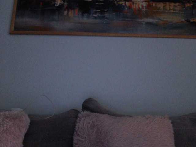 cleophee live cam on BongaCams