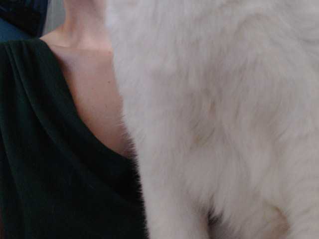 cleophee