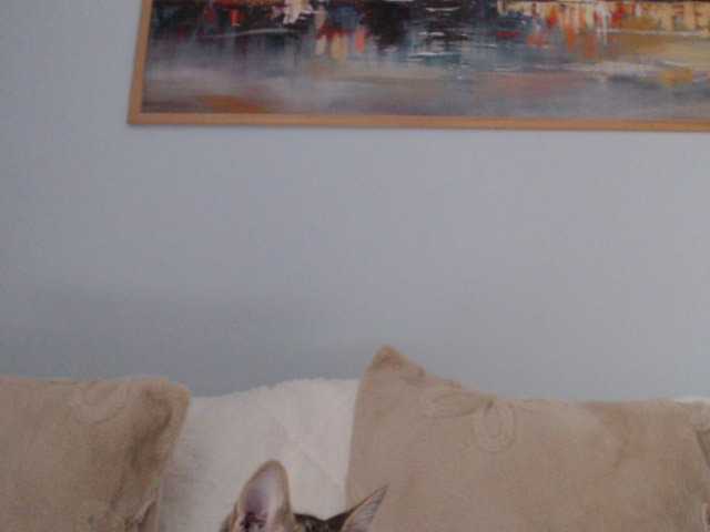 cleophee