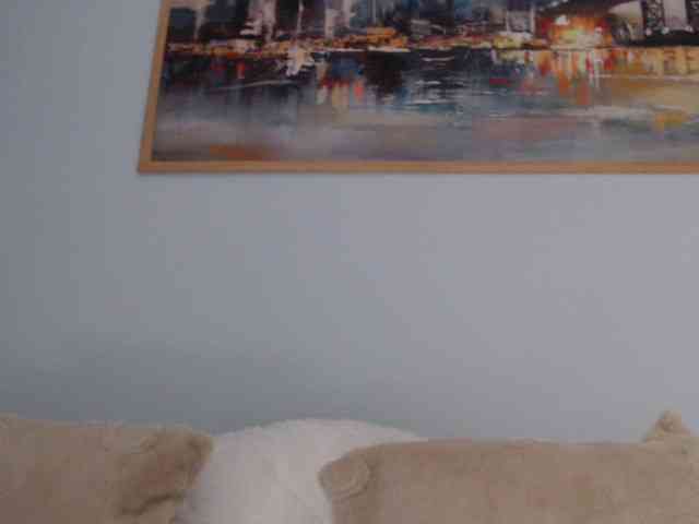 cleophee webcam