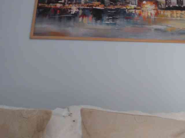 cleophee webcam