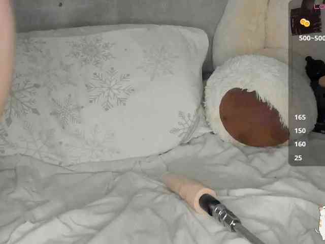 Sollnushko webcam