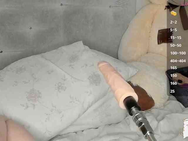 Sollnushko webcam