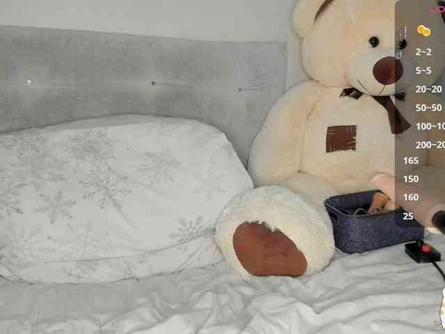 Sollnushko webcam