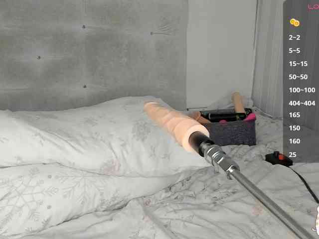 Sollnushko webcam