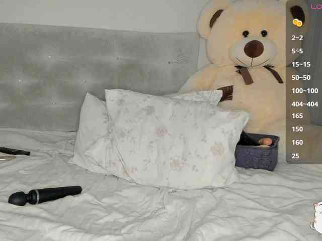 Sollnushko webcam
