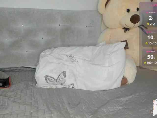 Sollnushko webcam
