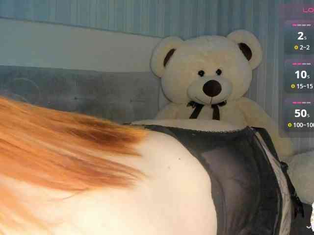 Sollnushko webcam