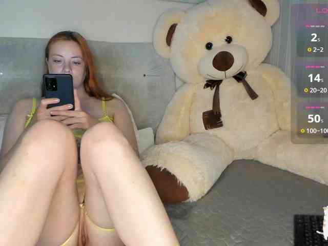Sollnushko webcam