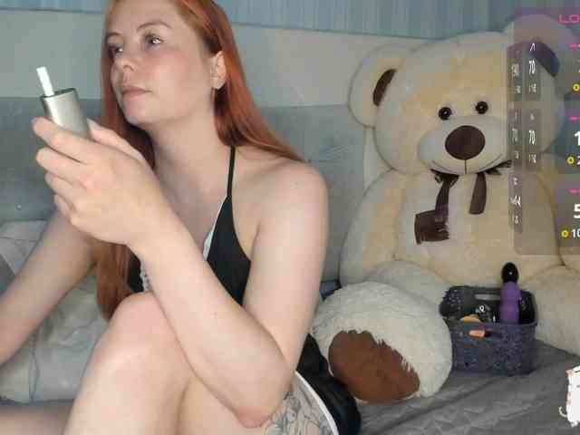 Sollnushko webcam