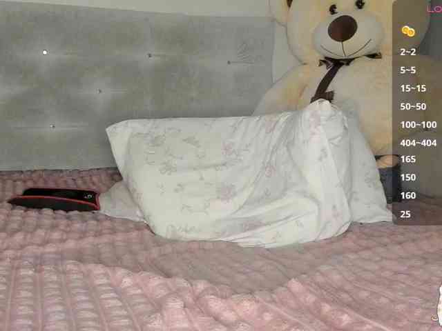 Sollnushko webcam