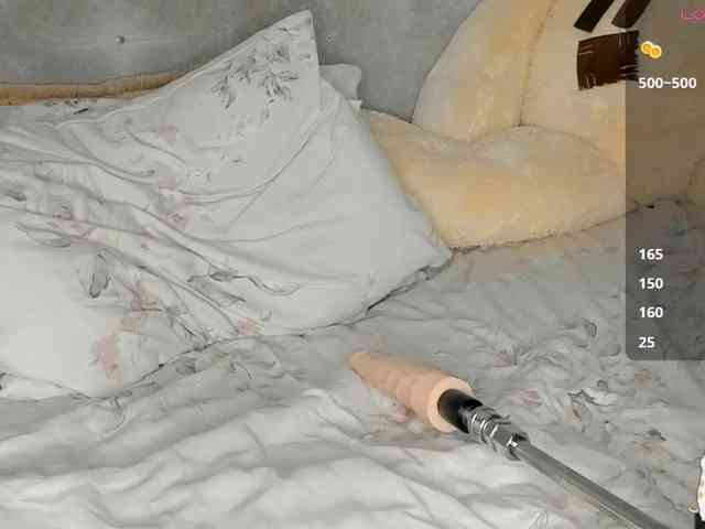 Sollnushko webcam
