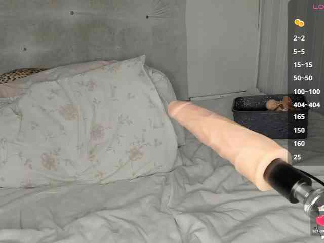 Sollnushko webcam