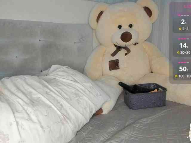Sollnushko webcam