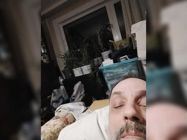 play-Bear