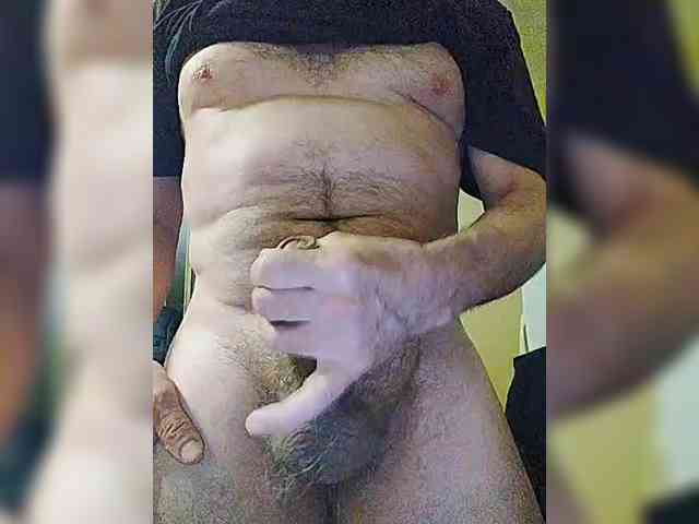 play-Bear Live Webcam on BongaCams