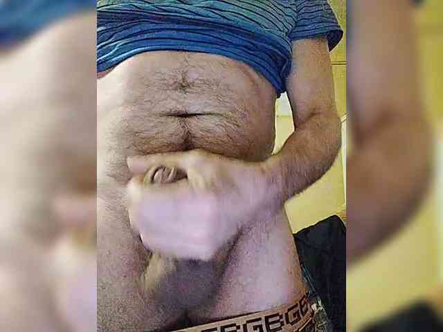 play-Bear Live Webcam on BongaCams