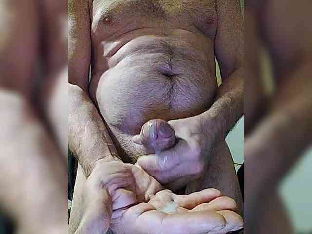 play-Bear Live Webcam on BongaCams