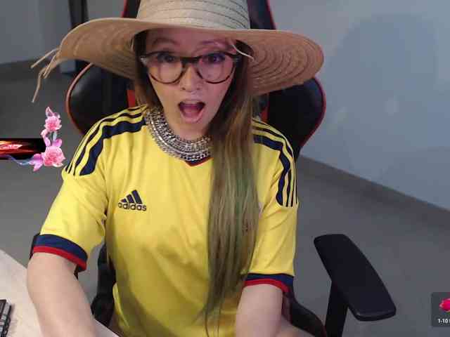 Rosa2019 webcam