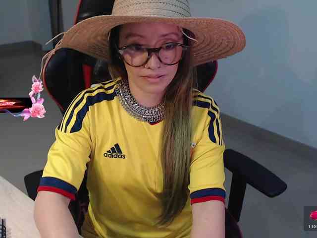 Rosa2019 webcam
