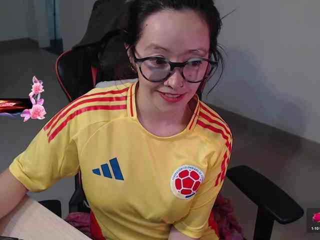 Rosa2019 webcam