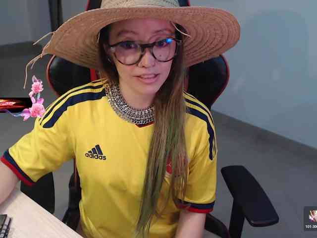 Rosa2019 webcam