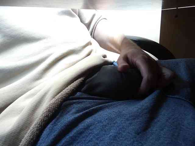 HARDPIPIRKas