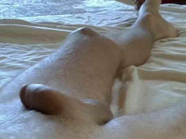 Akinouk Live Webcam on BongaCams