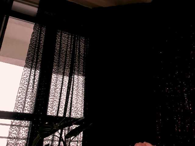 blondebab3 live cam on BongaCams