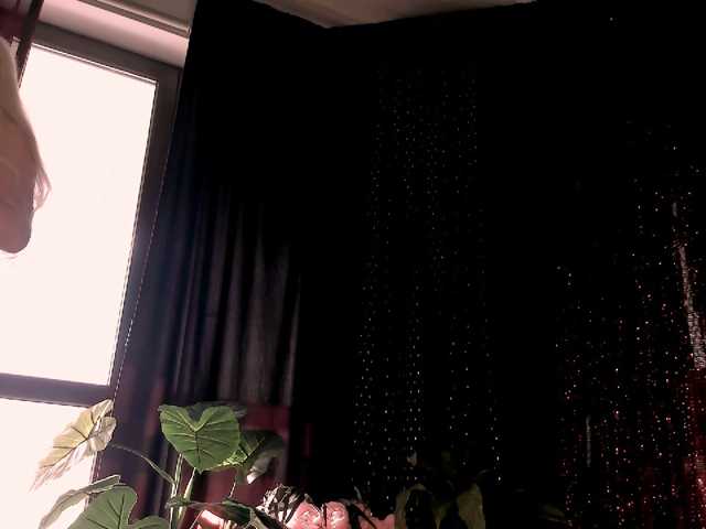 blondebab3 live cam on BongaCams