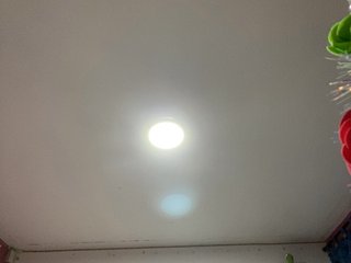 LittleToxic Porn Show