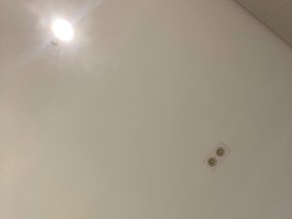 LittleToxic