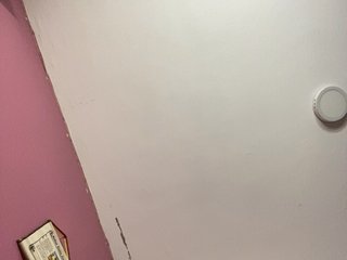 LittleToxic