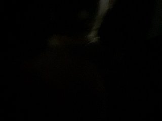 LittleToxic Porn Show