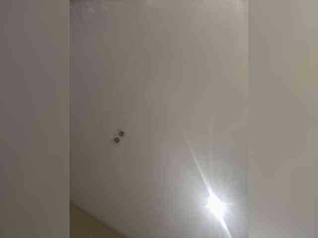 LittleToxic webcam