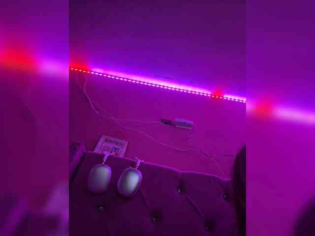 LittleToxic webcam