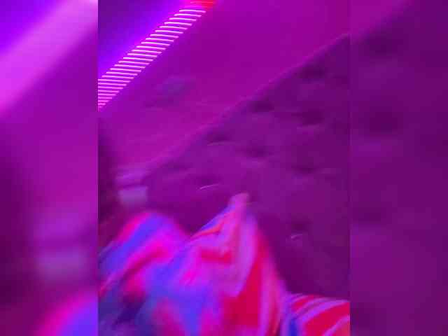 LittleToxic webcam
