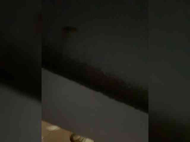 LittleToxic webcam