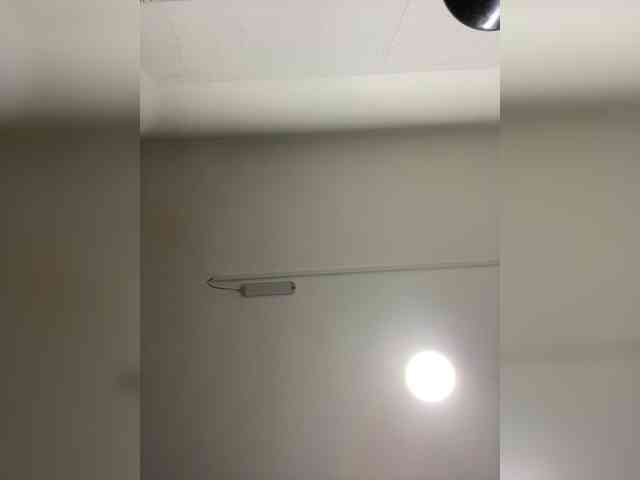 LittleToxic webcam