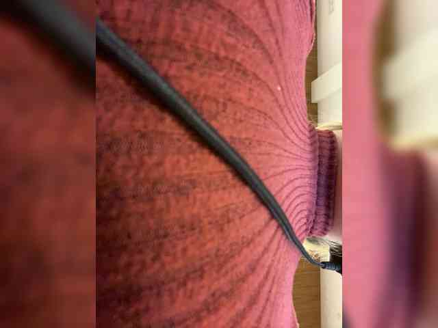 LittleToxic webcam